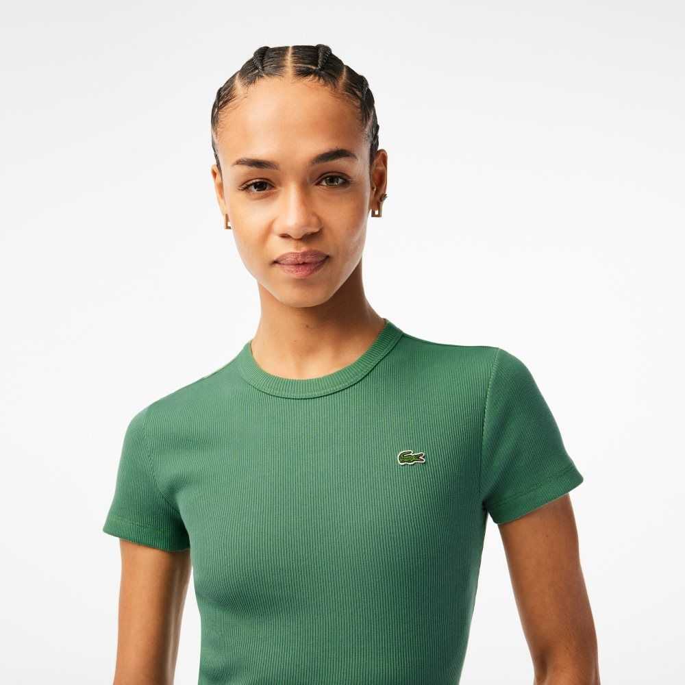 Lacoste Slim Fit Organic Bomull T-Shirt Khaki Gröna | ALWZK-5863