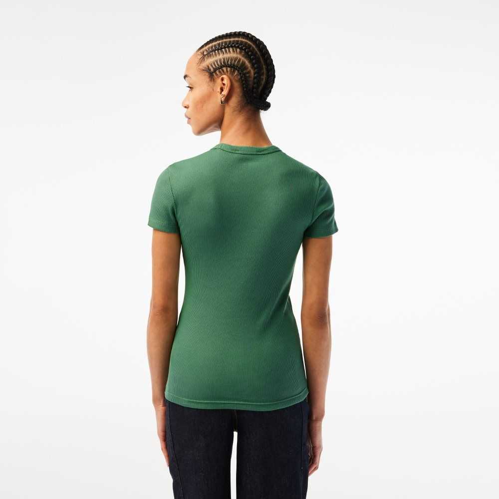 Lacoste Slim Fit Organic Bomull T-Shirt Khaki Gröna | ALWZK-5863