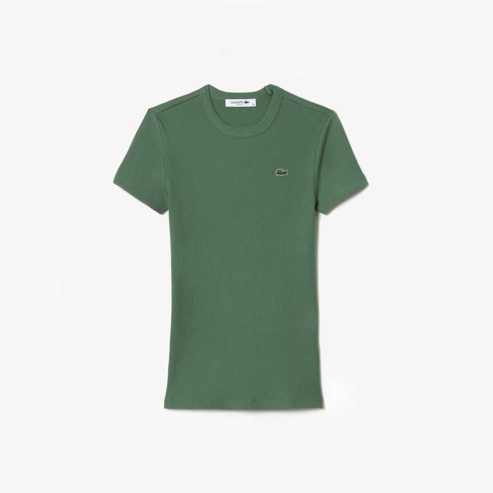 Lacoste Slim Fit Organic Bomull T-Shirt Khaki Gröna | ALWZK-5863