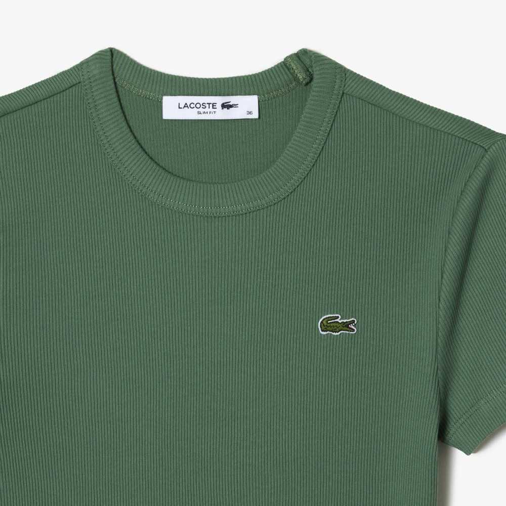 Lacoste Slim Fit Organic Bomull T-Shirt Khaki Gröna | ALWZK-5863