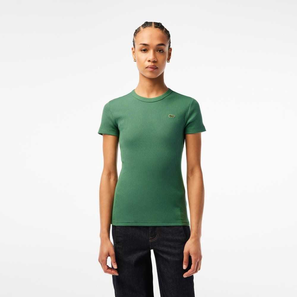 Lacoste Slim Fit Organic Bomull T-Shirt Khaki Gröna | ALWZK-5863