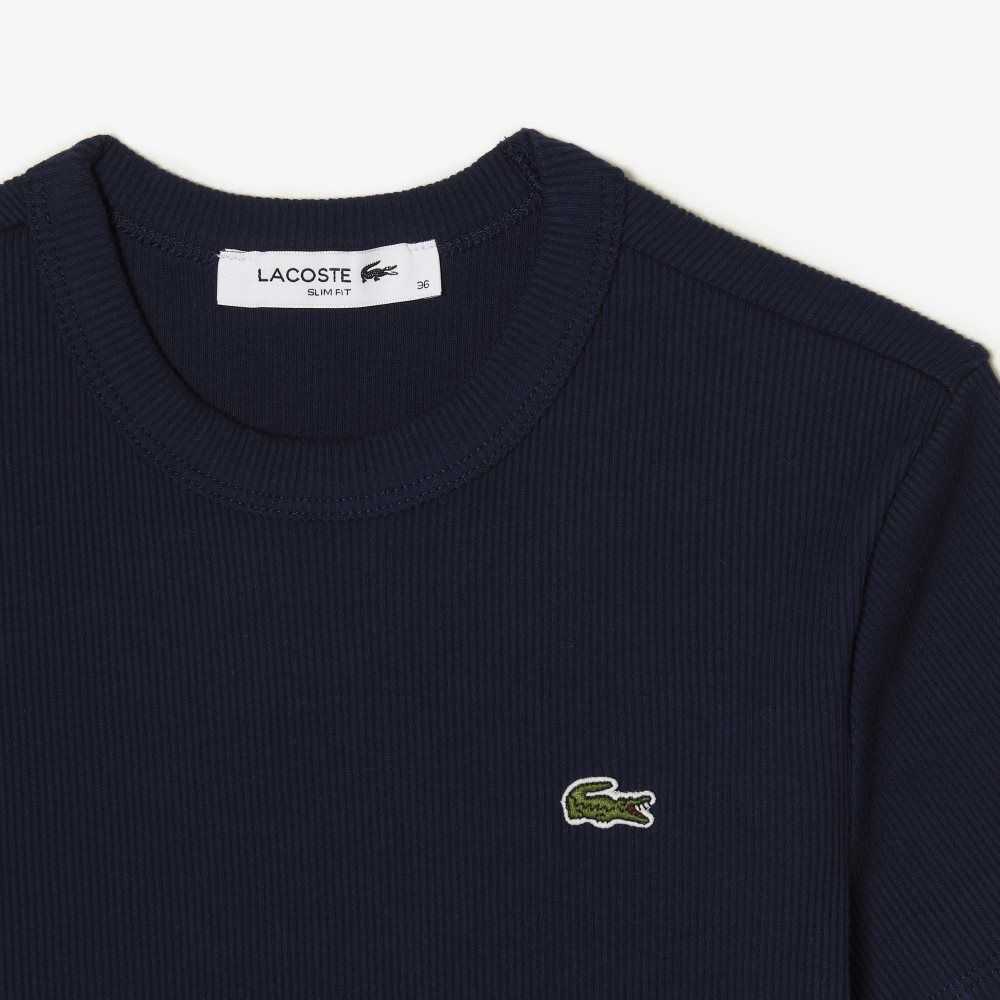 Lacoste Slim Fit Organic Bomull T-Shirt Marinblå Blå | FLVZQ-4158