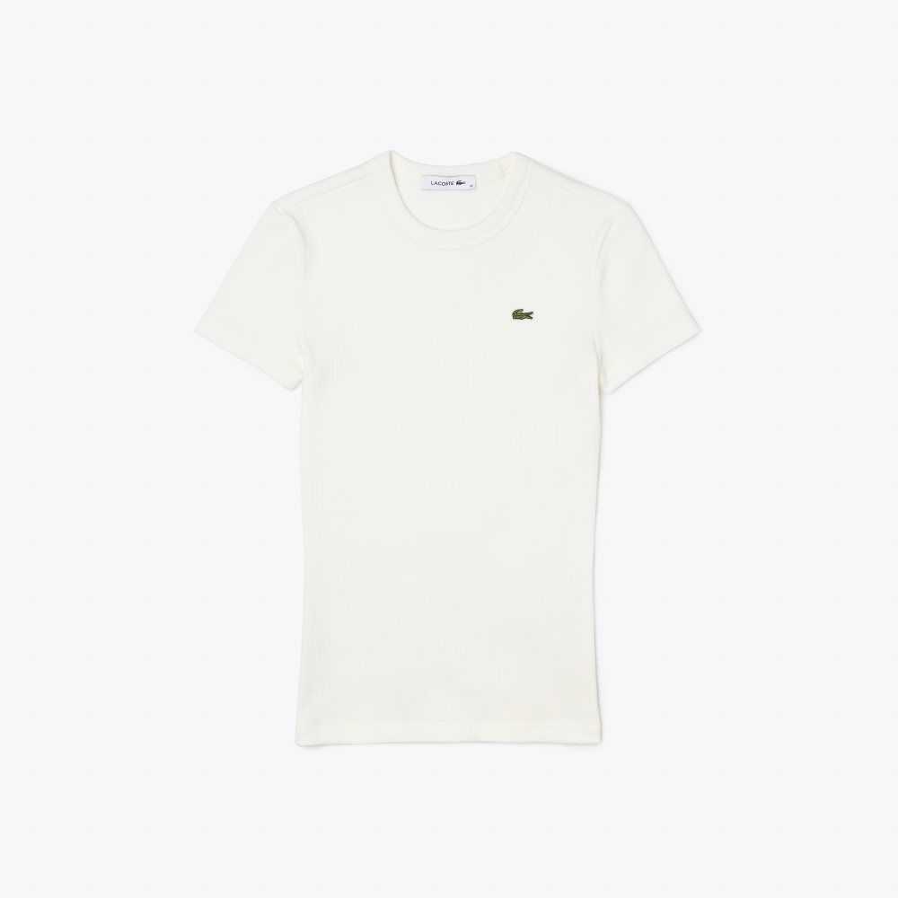 Lacoste Slim Fit Organic Bomull T-Shirt Vita | QLYAF-3061