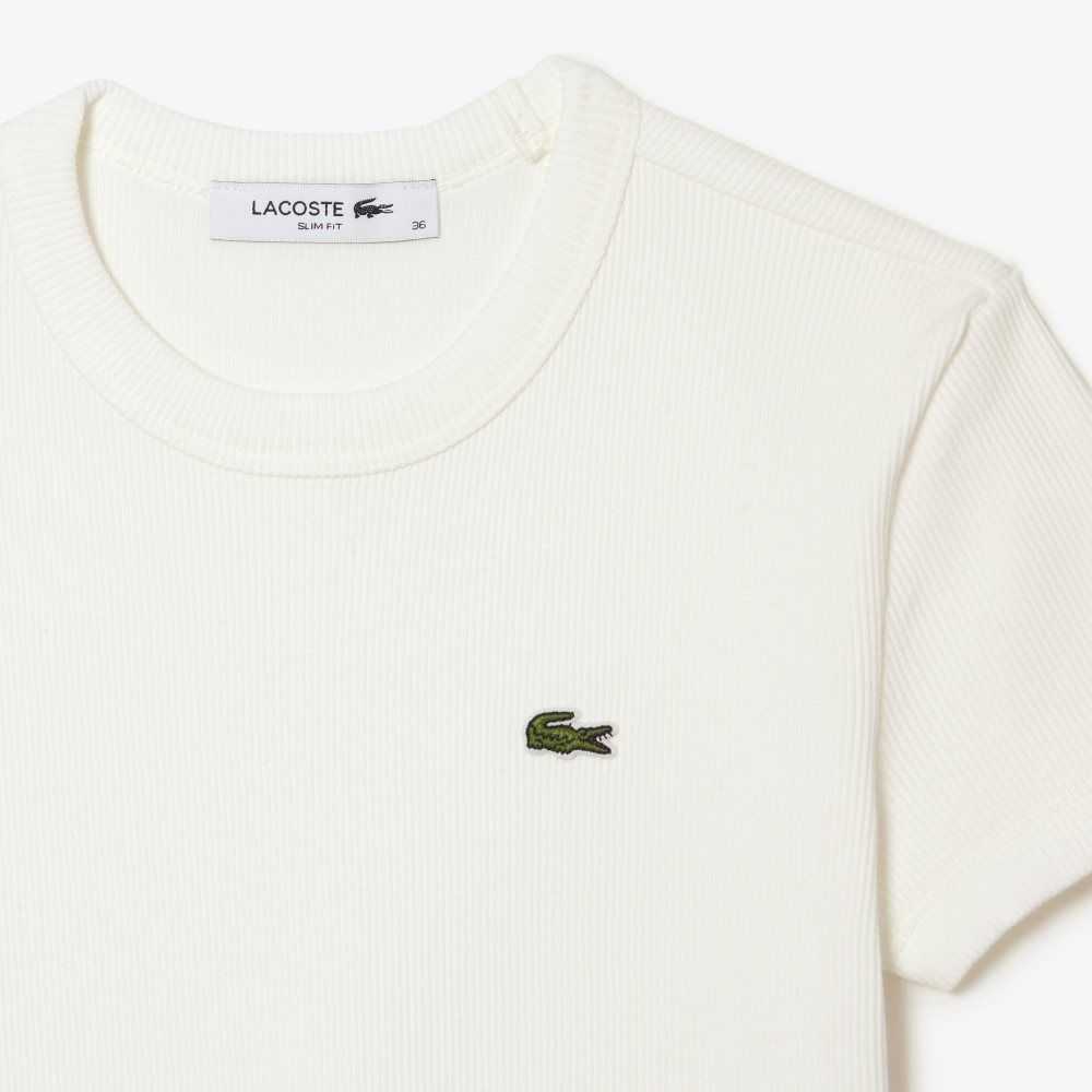 Lacoste Slim Fit Organic Bomull T-Shirt Vita | QLYAF-3061