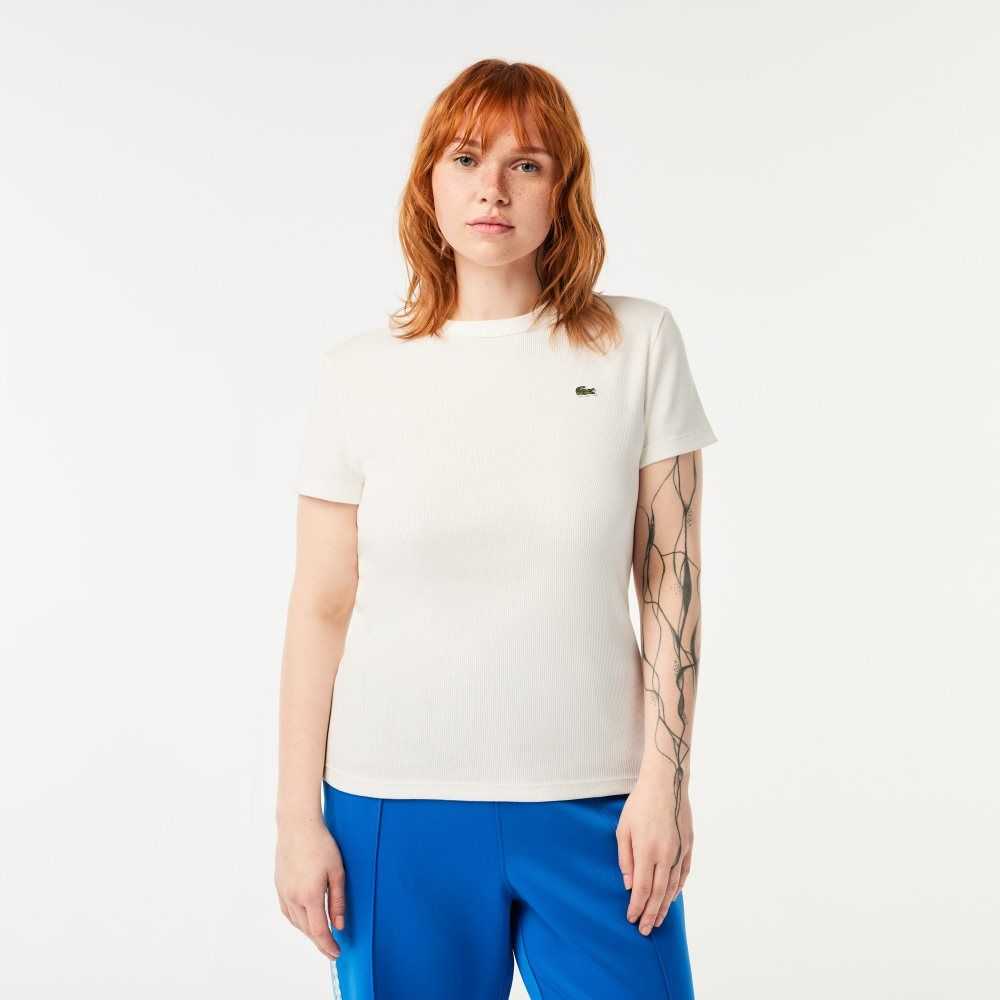 Lacoste Slim Fit Organic Bomull T-Shirt Vita | QLYAF-3061