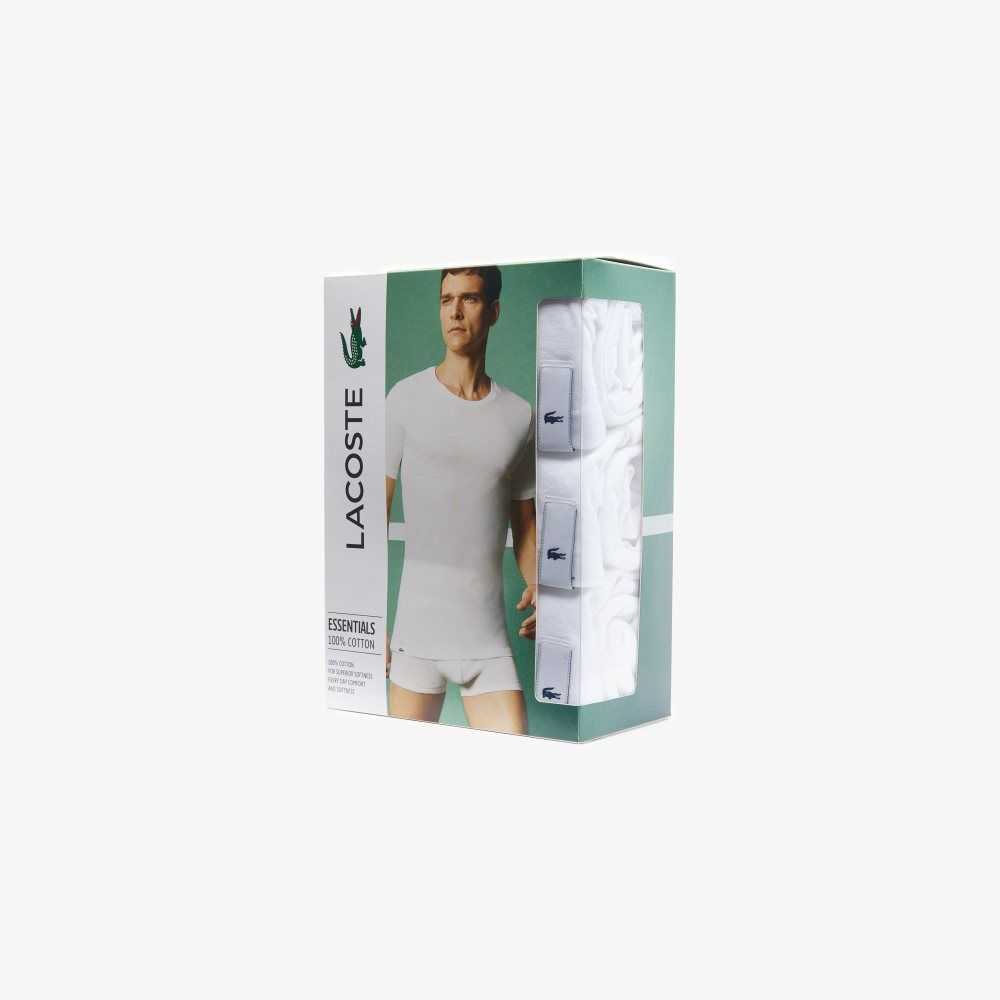 Lacoste T-Shirt 3-Pack Vita | PQJKA-5401