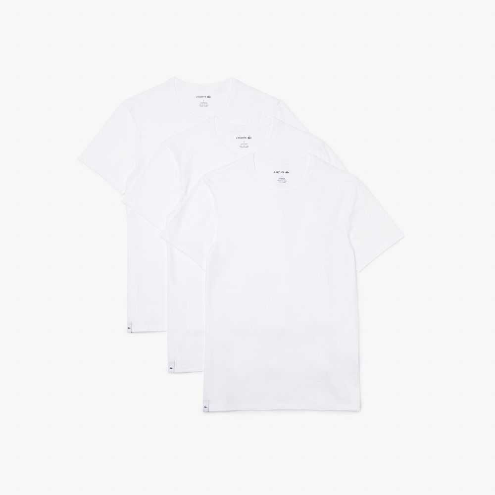 Lacoste T-Shirt 3-Pack Vita | PQJKA-5401