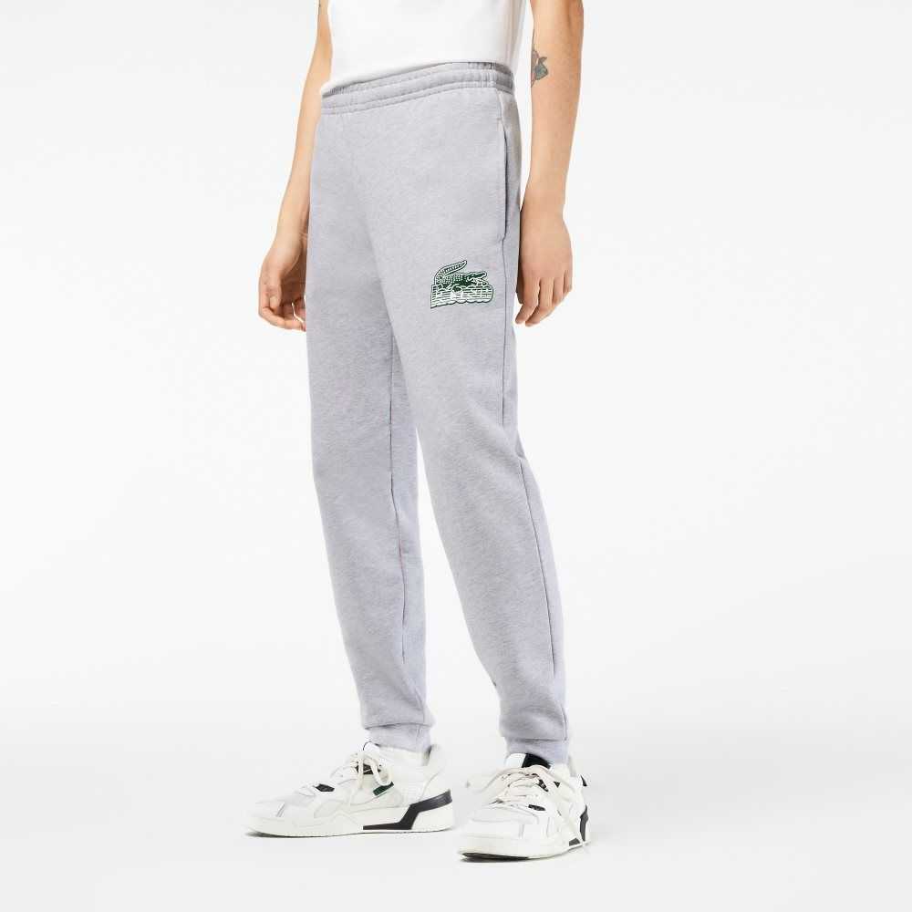 Lacoste Unbrushed Fleece Track Pants Grå | ZEGYL-1925