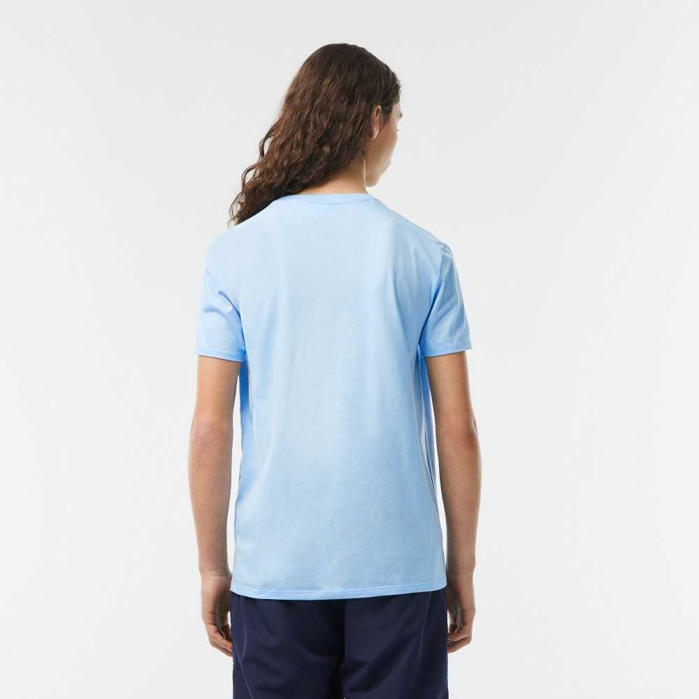 Lacoste V-Neck Pima Bomull Jersey Blå | MNDAY-9308