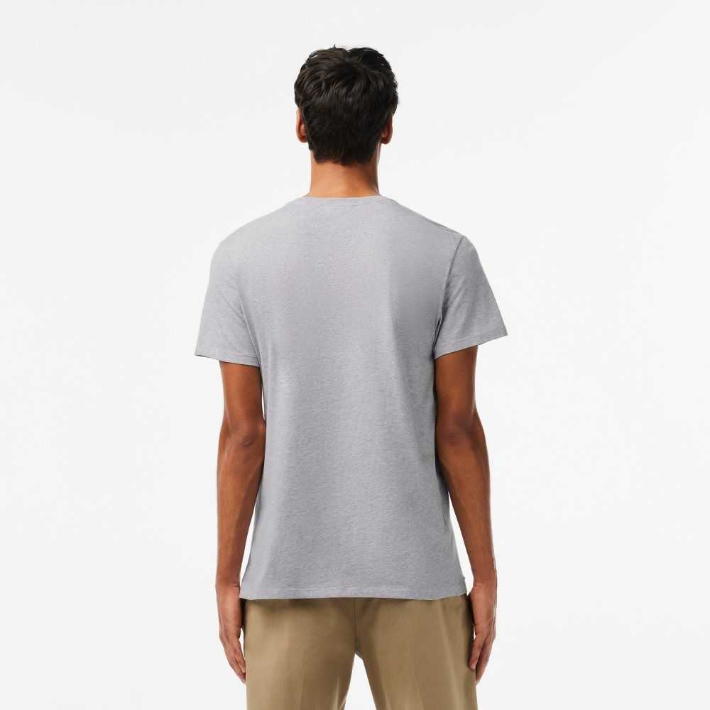 Lacoste V-Neck Pima Bomull Jersey Grå | OZHNL-2356