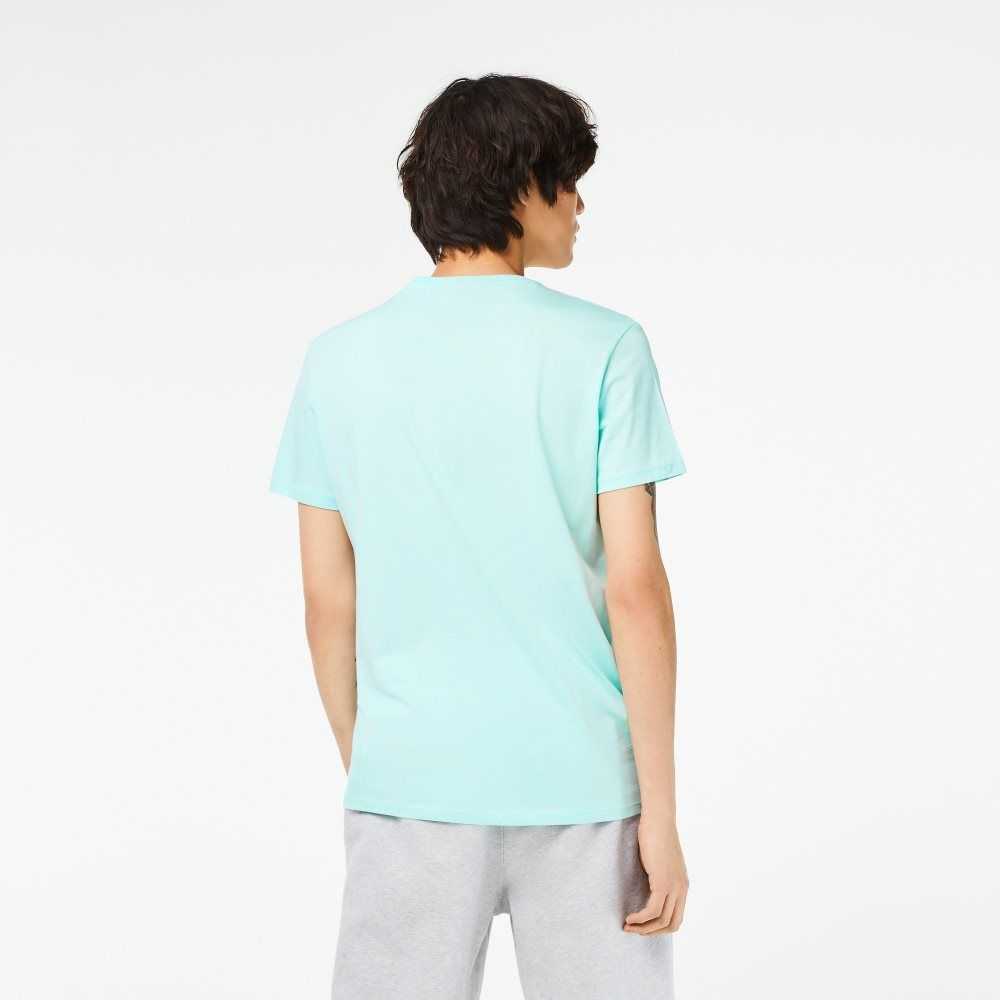 Lacoste V-Neck Pima Bomull Jersey Mintgröna | GYJZB-0538