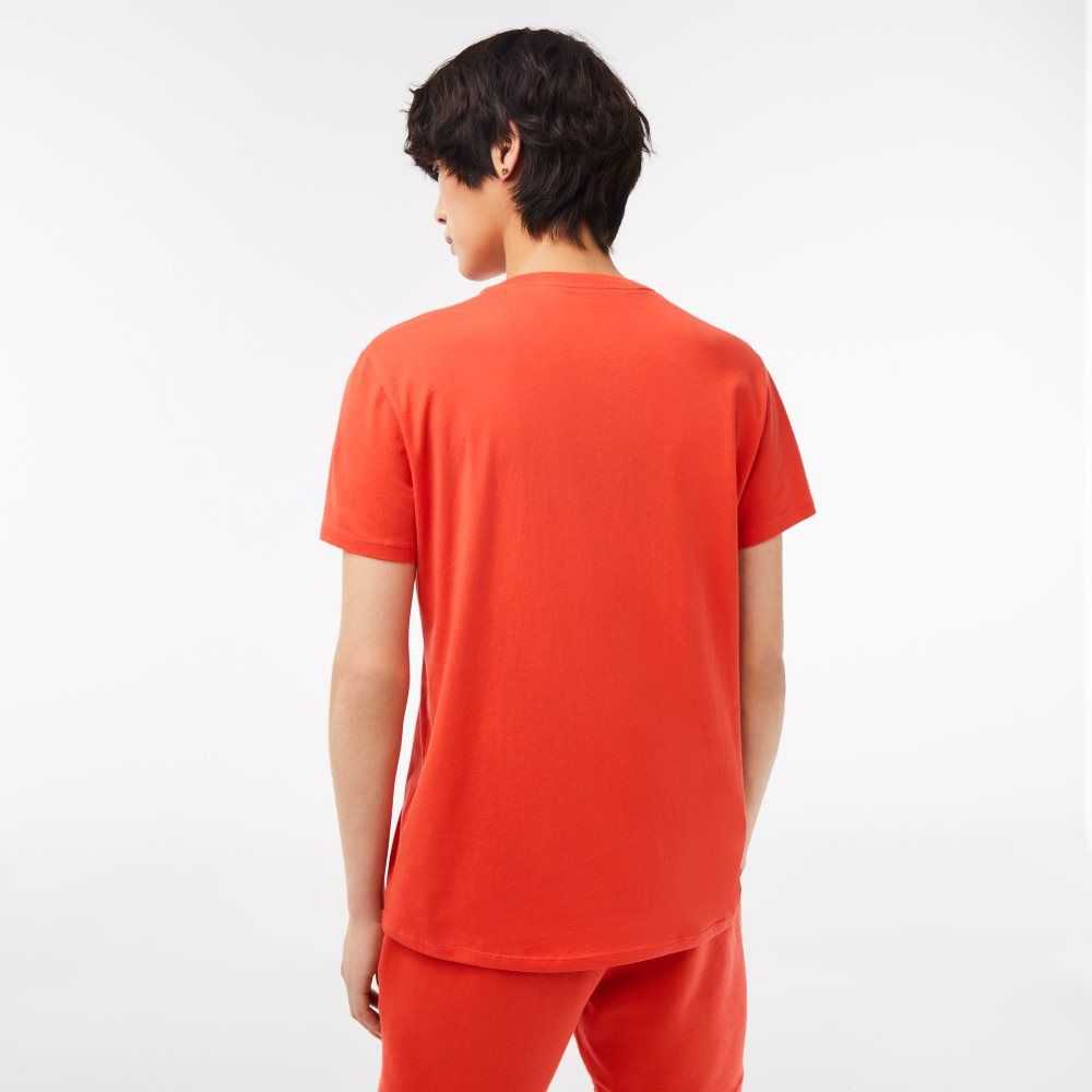 Lacoste V-Neck Pima Bomull Jersey Orange | DCJFB-1359